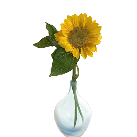 Girassol | Sunflower